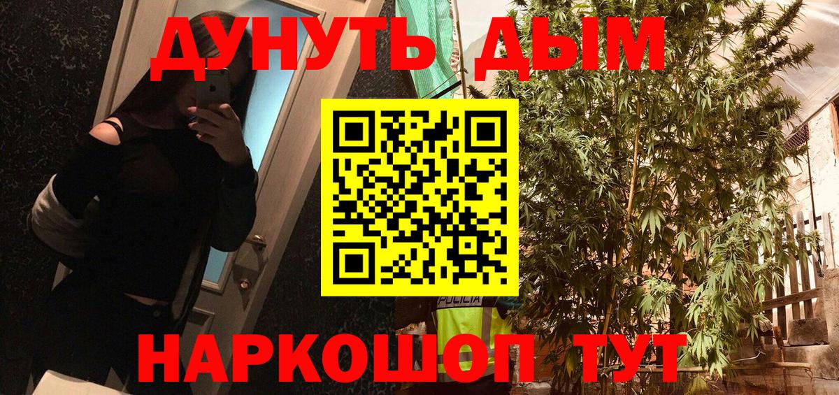 Шишки марихуана ГИДРОПОН Артём